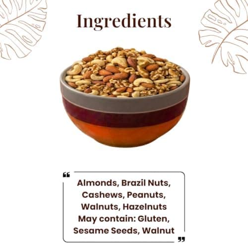 BalGokul Foods Mixed Nuts Healthy Indian Snacks Mix 400g thumbnail 4